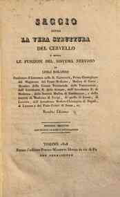 Saggio sopra la vera struttura del cervello e sopr... - 1: Sezione seconda con figure in rame e litografiche