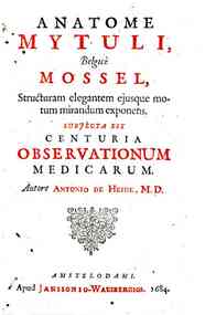 Anatome mytuli belgice mossel, structuram elegantem ejusque motum mirandum exponens. Subjecta est centuria observationum medicarum. Autore Antonio de Heide, M.D