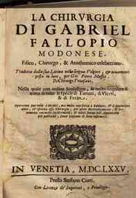 La chirurgia di Gabriel Fallopio modonese, fisico, chirurgo, & anathomico celeberrimo. Tradotta dalla sua latina nella lingua volgare, & nouamente posta in luce, per Gio. Pietro Maffei, d. chirurgo triuisano. ... 
