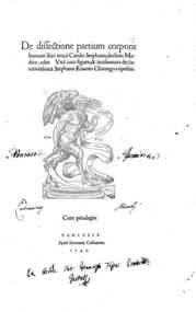 De dissectione partium corporis humani libri tres, à Carolo Stephano, doctore medico, editi. Vnà cum figuris, & incisionum declarationibus, à Stephano Riuerio chirurgo compositis