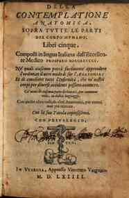 Della contemplatione anatomica, sopra tutte le parti del corpo humano, libri cinque. Composti in lingua italiana dall'eccellente medico Prospero Borgarucci. Ne' quali ciascuno potrà facilmente apprendere l'ordine, et il uero modo di far l'anatomia: et d