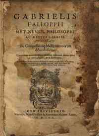 Gabrielis Falloppii ... Tractatus de compositione medicamentorum dilucidissimus; Nunc primum ad candidatorum medicinae vtilitatem summa opera,, ac cura castigatus, & in lucem editus. Cui accesserunt eiusdem authoris De cauteriis tabulae perquàm vtil