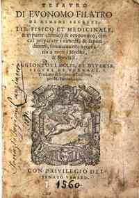 Tesauro di Euonomo Filatro de rimedi secreti. Libro fisico et medicinale, in parte chimico & economico, cerca 'l preparare i rimedi, & sapori diuersi, sommamente necessario a tutti i medici, & speciali. Aggiontoui molte, et diuerse figure de fornaci. Tra
