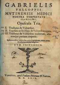 Gabrielis Falloppii ... *Opuscula tria. 1. Tractatus de vulneribus. 2. Expositio in lib. Hipp. de vulneribus capitis.\Petri Angeli Agathi opera, atque diligentia edita! 3. Tractatus de vulneribus oculorum, aliarumque partium corporis. Quibus accessere in